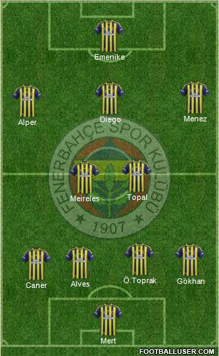 Fenerbahçe SK Formation 2014
