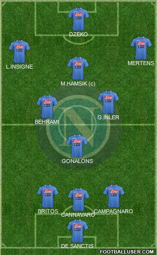 Napoli Formation 2014
