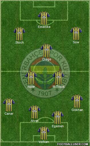 Fenerbahçe SK Formation 2014