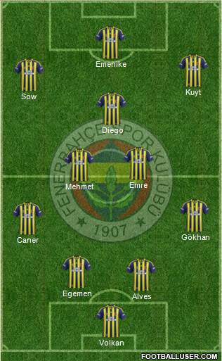 Fenerbahçe SK Formation 2014