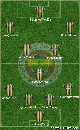 Fenerbahçe SK Formation 2014