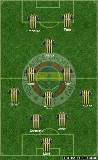Fenerbahçe SK Formation 2014