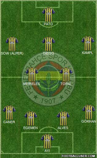 Fenerbahçe SK Formation 2014