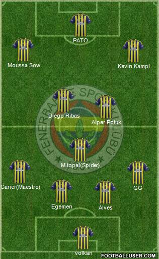 Fenerbahçe SK Formation 2014