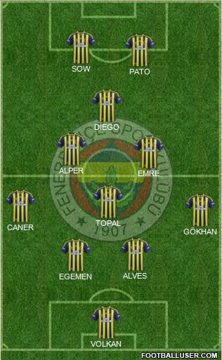 Fenerbahçe SK Formation 2014