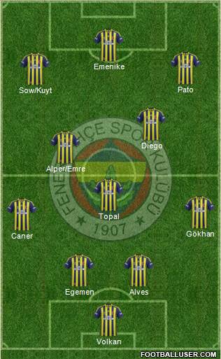 Fenerbahçe SK Formation 2014