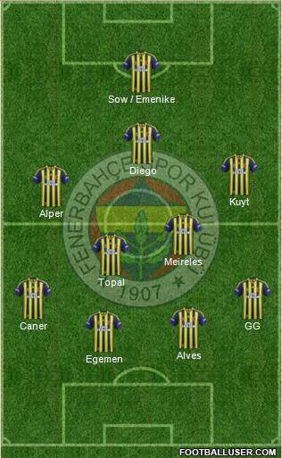 Fenerbahçe SK Formation 2014