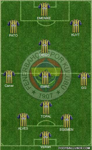 Fenerbahçe SK Formation 2014