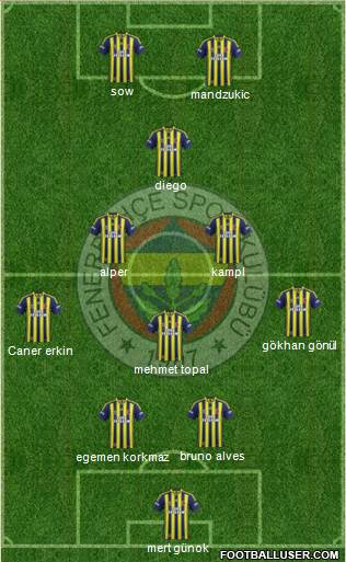 Fenerbahçe SK Formation 2014