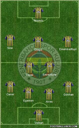 Fenerbahçe SK Formation 2014