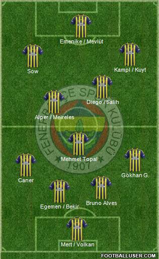 Fenerbahçe SK Formation 2014