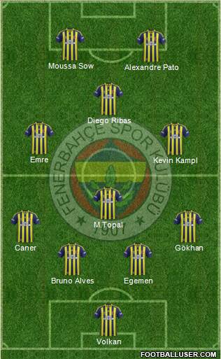 Fenerbahçe SK Formation 2014