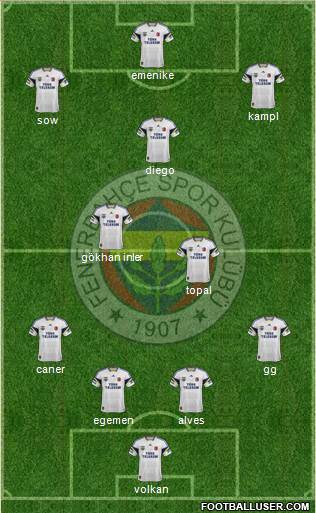 Fenerbahçe SK Formation 2014