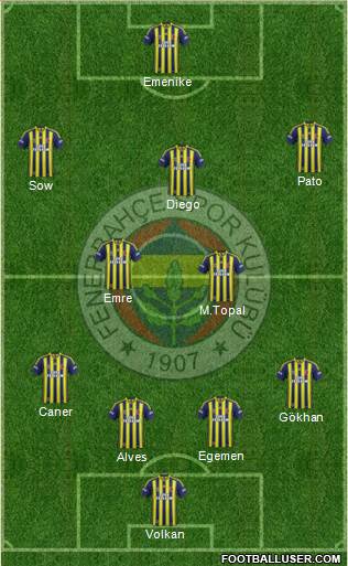 Fenerbahçe SK Formation 2014