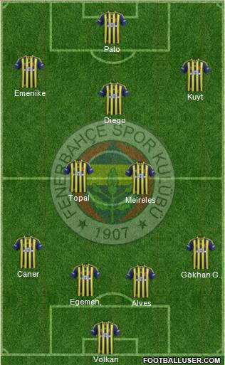 Fenerbahçe SK Formation 2014