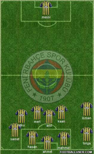 Fenerbahçe SK Formation 2014