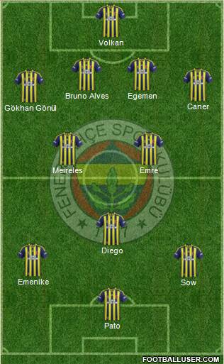 Fenerbahçe SK Formation 2014