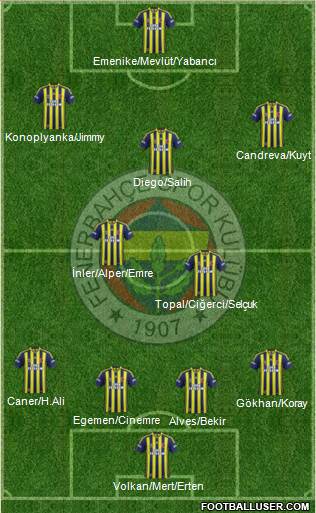 Fenerbahçe SK Formation 2014