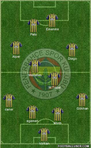 Fenerbahçe SK Formation 2014
