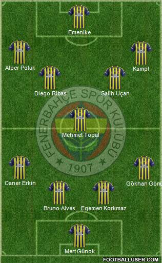Fenerbahçe SK Formation 2014