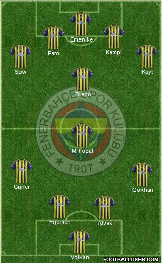 Fenerbahçe SK Formation 2014