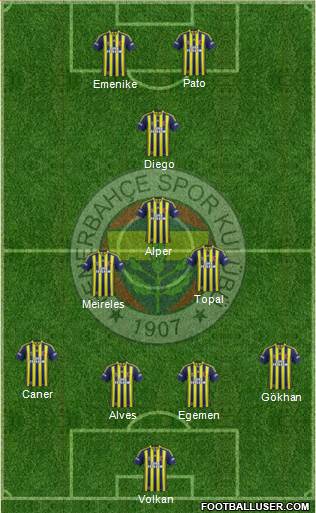 Fenerbahçe SK Formation 2014