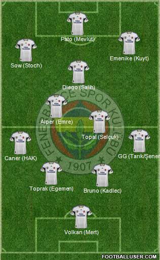 Fenerbahçe SK Formation 2014
