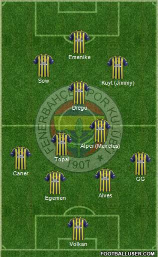Fenerbahçe SK Formation 2014