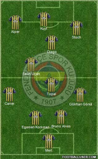 Fenerbahçe SK Formation 2014