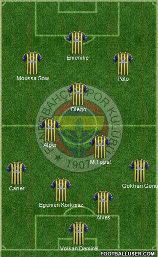 Fenerbahçe SK Formation 2014