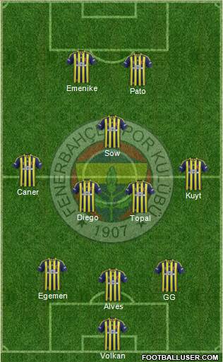 Fenerbahçe SK Formation 2014
