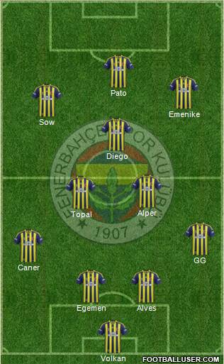 Fenerbahçe SK Formation 2014