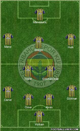 Fenerbahçe SK Formation 2014