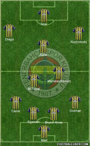Fenerbahçe SK Formation 2014