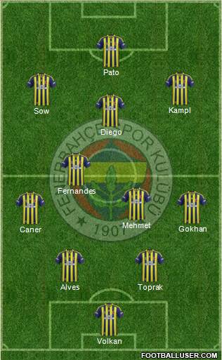 Fenerbahçe SK Formation 2014
