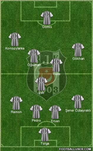 Besiktas JK Formation 2014