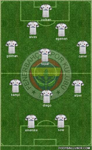 Fenerbahçe SK Formation 2014