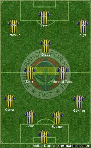 Fenerbahçe SK Formation 2014