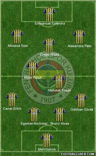Fenerbahçe SK Formation 2014