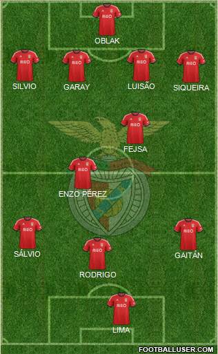 Sport Lisboa e Benfica - SAD Formation 2014