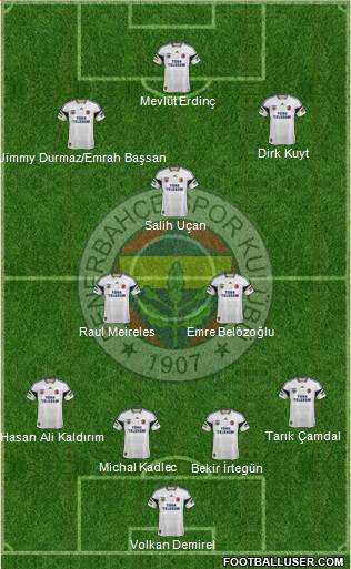 Fenerbahçe SK Formation 2014