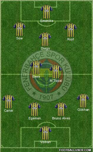 Fenerbahçe SK Formation 2014
