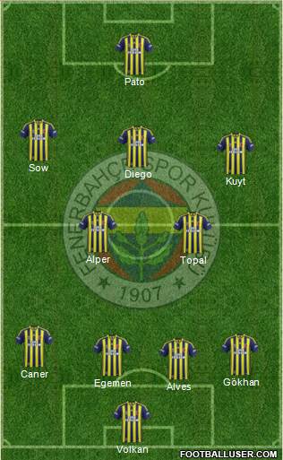 Fenerbahçe SK Formation 2014