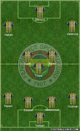 Fenerbahçe SK Formation 2014