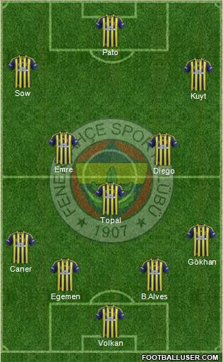 Fenerbahçe SK Formation 2014