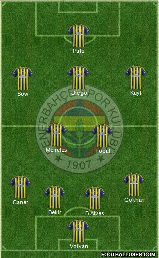 Fenerbahçe SK Formation 2014