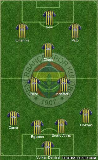 Fenerbahçe SK Formation 2014