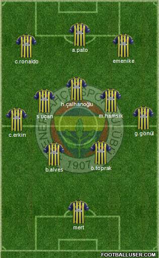 Fenerbahçe SK Formation 2014
