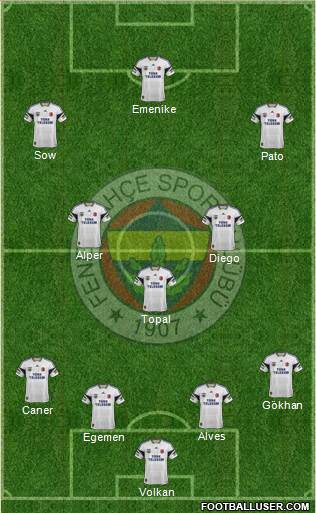 Fenerbahçe SK Formation 2014