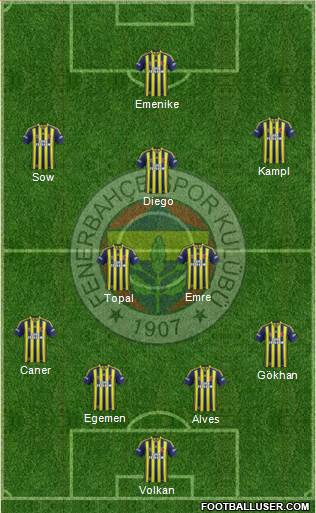 Fenerbahçe SK Formation 2014
